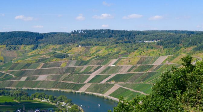 Ürzig nach Traben-Trarbach