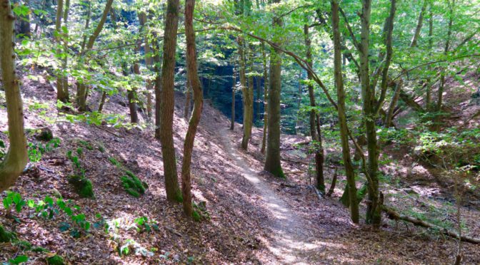 Beilstein nach Cochem