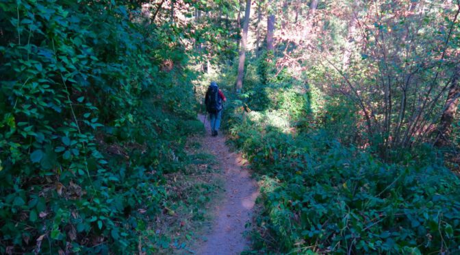 Cochem nach Treis-Karden