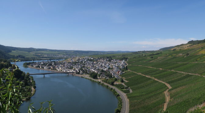 Scheich nach Mehring