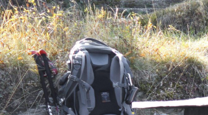 Lecki Carbon Ti – Trekkingstöcke